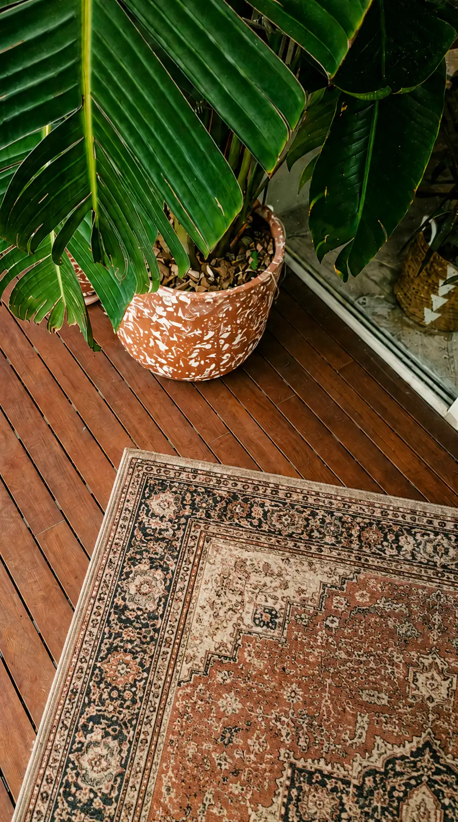 Tapis persan et plante déployés sur une terrasse en bois